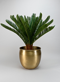 Devdas "Brass Look" Aluminium Indoor Garden Pot, Large