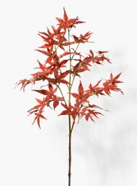 34in Tall Fall Japanese Maple Leaf Branch