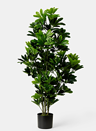 fake Schefflera umbrella tree