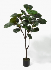 4ft Fiddle-Leaf Fig Tree