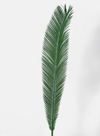 35in Cycas Palm Branch