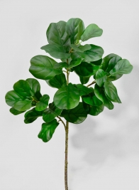47in Fiddle Leaf Fig Branch