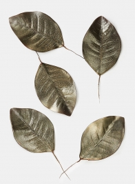 Platinum Brown Magnolia Leaf, Set of 5 24881