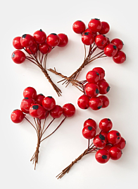 Large Red Berry Pick, Set of 5 24924