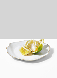 9in Freeform Edge Ceramic Potter's Plate, Set of 2