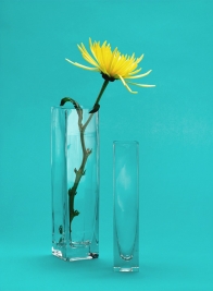 2 1/2 x 10in Square Glass Vase, Set of 4