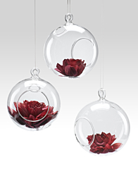 4in Hanging Ball Vase, Set of 3
