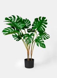 28in Monstera Leaf Plant