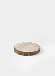 6in Wood Slice 24799
