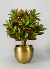 Madurai "Brass Look" Aluminium Indoor Garden Pot, Small