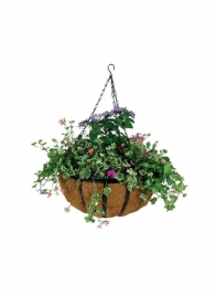 12in Hanging Basket With Coco Liner