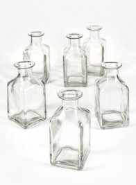 Clear Glass Square Bottle Bud Vase, Set of 6
