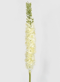 42in White Foxtail Lily