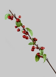 37in Red Berry Branch
