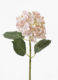 31in Light Pink Hydrangea