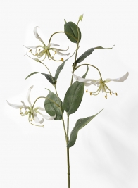 32in White Gloriosa Lily