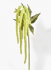 43in Green Amaranthus Ponytails