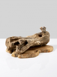 teak wood burl decorative home accent