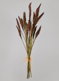 27 1/2in Burgundy Setaria/Onion Grass Bundle