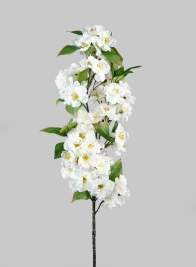 33in White Cherry Blossom Spray