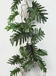 41in Philodendron Vine