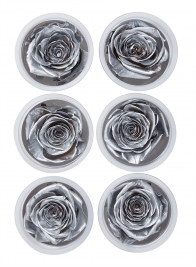 Preserved Silver Roses, Set of 6