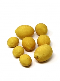 artificial lemons 