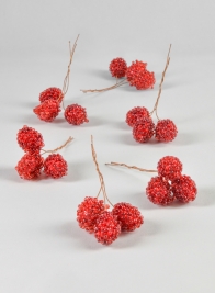 18pcs Beads Berries in PVC Box