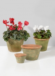 4in - 9in Mossed Redstone Standard Clay Pots