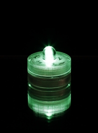 Green Submersible Single LED Light, Set of 10 24797