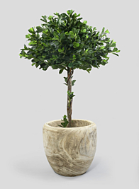 18in Tapered Paulownia Wood Planter