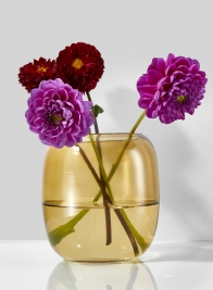 5in Dark Amber Capsule Glass Vase