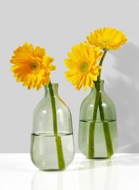 Light Green Bottle Bud Vase, Set of 2