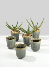 3 ¼in Pale Green & Chocolate Ceramic Ripple Vase, Set of 6