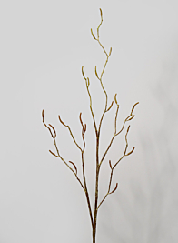 48in Birch Branch with Catkins