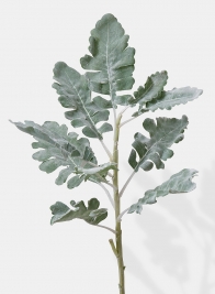 artificial dusty miller leaves pick