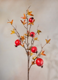 38in Late Fall Young Pomegranate Branch