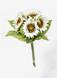 White Sunflower Bouquet