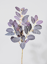 30in Purple Seeded Eucalyptus Pick