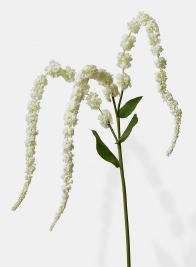 white amaranth silk flower spray