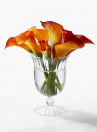 5 ¼in Optical Glass Mini Urn Vase