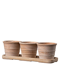 Vaso Mini Siena Terracotta Pots and Saucer Set