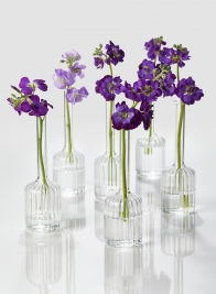 6 ½in Optical Glass Cylinder Bud Vase, Set of 6