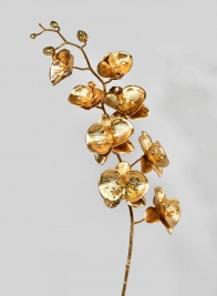 Metallic Gold Phalaenopsis Orchid Stem