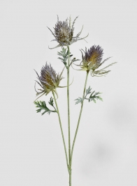 28 ½in Large Thistle Spray