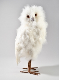 17in White Owl