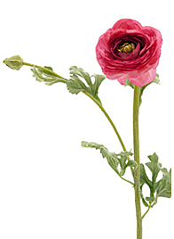 Light Red Ranunculus Faux Silk Flower L14501-LRD