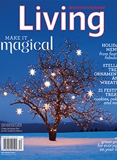martha-stewart-living-december-2011-cover