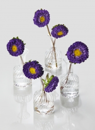4in Optical Glass Cylinder Bud Vase, Set of 4