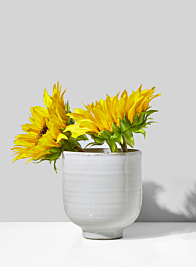 4in Glazed Ceramic Pedestal Bowl, Set of 2